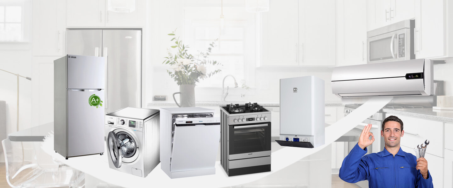 Güroymak Smeg Servisi